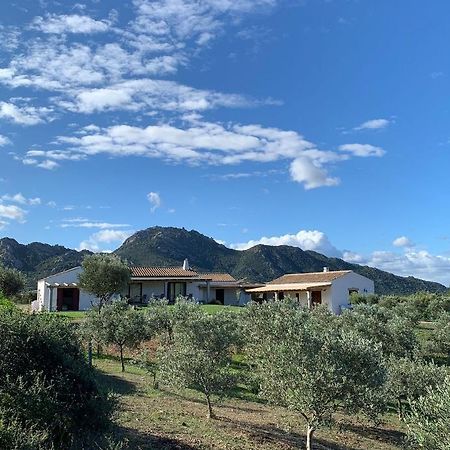 Macciuneddu Country Retreat Golfo Aranci Exterior foto