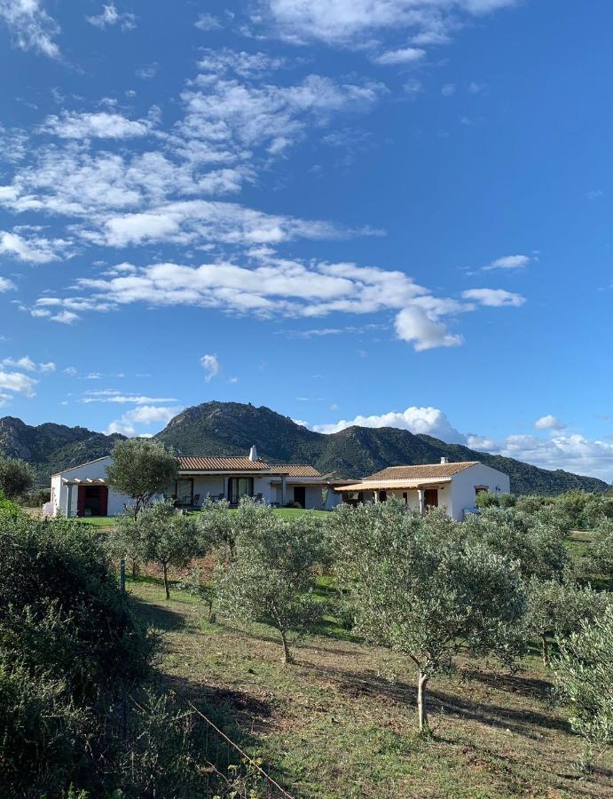 Macciuneddu Country Retreat Golfo Aranci Exterior foto